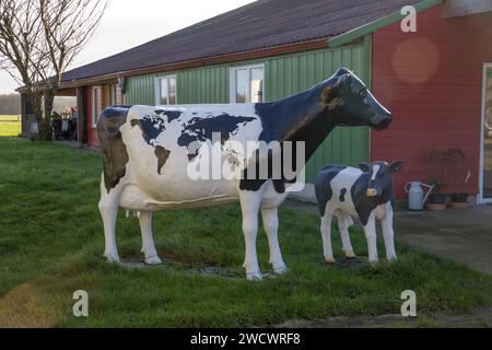 Francia, Indre et Loire, Sonzay, fattoria Gautraie, famiglia Kuipers, originario dei Paesi Bassi, si stabilì a Sonzay nel 1993. Lì allevano vacche da latte e trasformano parte del latte in burro e gelati Gouda con latte crudo. Foto Stock