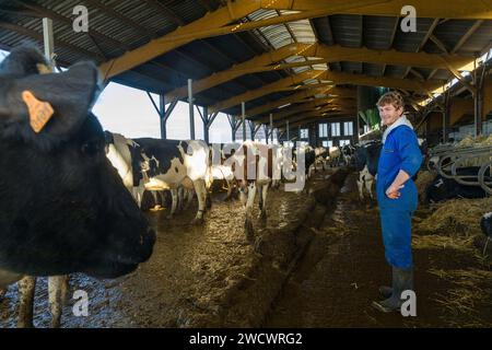 Francia, Indre et Loire, Sonzay, fattoria Gautraie, famiglia Kuipers, originario dei Paesi Bassi, si stabilì a Sonzay nel 1993. Lì allevano vacche da latte e trasformano parte del latte in burro e gelati Gouda con latte crudo. Foto Stock