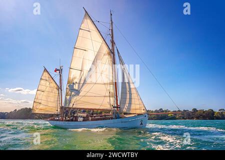 Francia, Morbihan, Golfo di Morbihan, grande Hermine, dundee yacht, edizione 2023 della Gulf Week Foto Stock