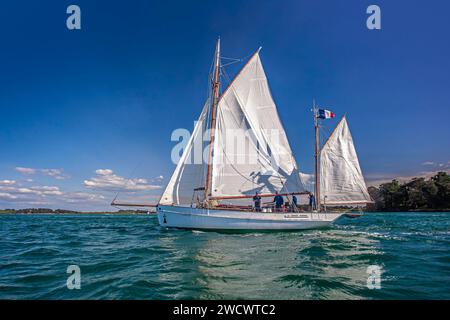 Francia, Morbihan, Golfo di Morbihan, grande Hermine, dundee yacht, edizione 2023 della Gulf Week Foto Stock