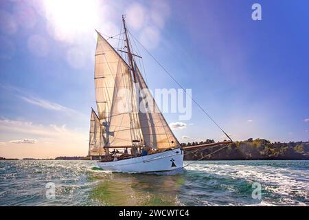 Francia, Morbihan, Golfo di Morbihan, grande Hermine, dundee yacht, edizione 2023 della Gulf Week Foto Stock