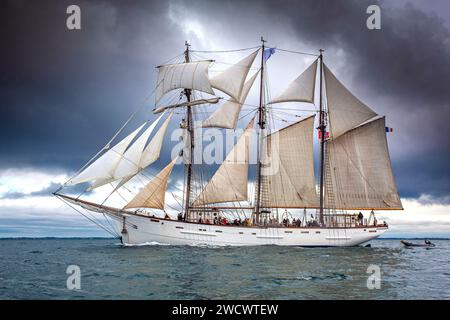 Francia, Morbihan, Golfo di Morbihan, la Marita, goletta a tre alberi di Granville, edizione 2023 della Gulf Week Foto Stock