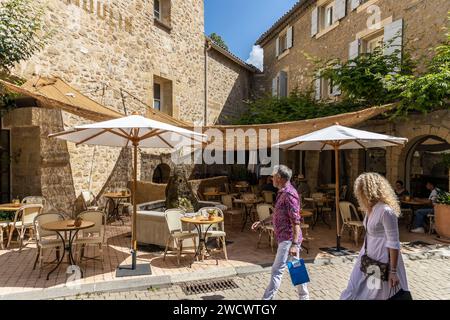 Francia, Vaucluse, Lourmarin, etichettato come i più bei villaggi della Francia, terrazza del ristorante le Moulin Foto Stock