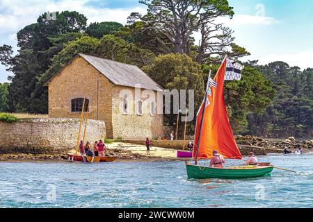 Francia, Morbihan, Golfo di Morbihan, Larmor-Baden, Passage du Gois, Berder Island, vela canottaggio, edizione Gulf Week 2023 edizione Gulf Week 2023 Foto Stock