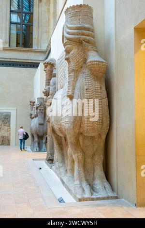 Francia, Parigi, museo del Louvre, dipartimento di antichità orientali, ala Richelieu, sala 239, Corte di Khorsabad, Lamassus dal Palazzo Khorsabad, Toro Androcefalico alato, periodo neo-assiro Foto Stock