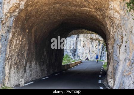 Francia, Vaucluse, Parc naturel régional du Mont Ventoux, Monieux, Gorges de la Nesque, tunnel sulla strada D 942 tra Monieux e Villes-sur-Auzon Foto Stock