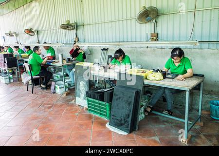 Vietnam, dintorni di ho chi Minh Cit, un laboratorio di artigianato locale Foto Stock