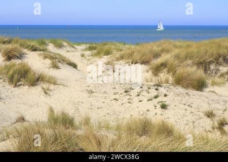 Francia, Nord, Dunkerque, dune e barca a vela dalla diga di Braek Foto Stock