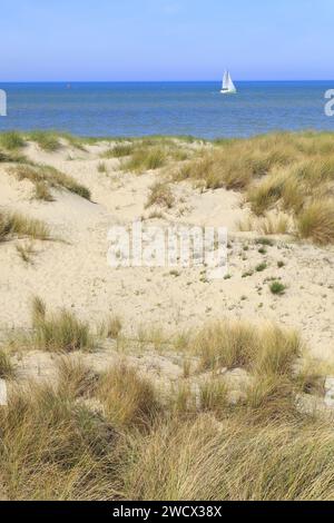 Francia, Nord, Dunkerque, dune e barca a vela dalla diga di Braek Foto Stock