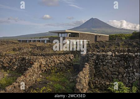 Portogallo, arcipelago delle Azzorre, isola di Pico, azienda vinicola delle Azzorre, l'hotel minimalista in cemento grezzo dell'enologo portoghese Antonio Macanita, situato tra le viti e il vulcano Foto Stock