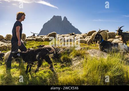 Francia, Pirenei Atlantici, Béarn, valle dell'Ossau, Parco Nazionale dei Pirenei, capanna Roumassot, pastorella e il suo gregge di pecore e capre, PIC du Midi d'Ossau sullo sfondo Foto Stock