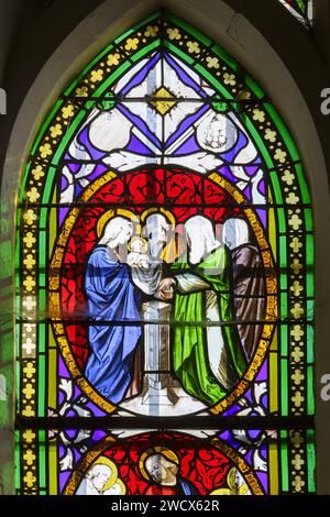 Francia, Meurthe et Moselle, zona di Saintois, Vitrey, eglise de la Nativite de la Vierge (chiesa della Natività della Vergine), dettaglio della vetrata che rappresenta scene della vita di Gesù Cristo, la presentazione del bambino gesù nel Tempio Foto Stock