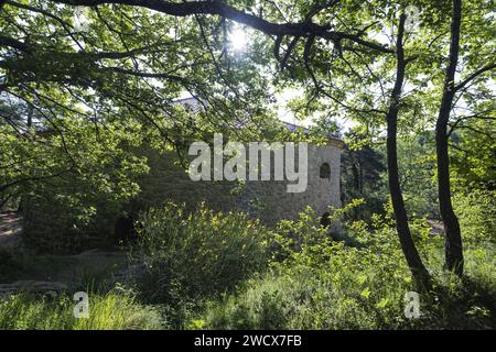 Francia, Var, Parco naturale regionale di Sainte Baume, Mazaugues, ghiacciaio del Pivaut Foto Stock