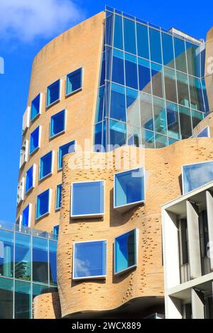 Australia, nuovo Galles del Sud, Sydney, University of Technology Sydney (UTS), Dr Chau Chak Wing Building (2014) progettato dall'architetto Frank Gehry Foto Stock