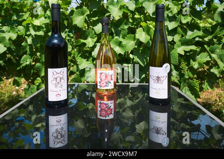 Francia, Mosella, Ancy sur Moselle, Domaine les Béliers, bottiglie di vino rosso, vino rosa e vino bianco AOC Moselle Foto Stock