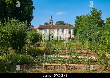Francia, Mosella, Scy Chazelles, Robert Schuman House ospita il più piccolo dei giardini senza limiti: Il Jardin des Plantes de Chez Nous Foto Stock