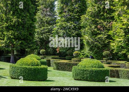 Francia, Dordogna, Perigord Noir, Salignac eyvigues, i giardini del Manoir d'Eyrignac etichettati Jardins Remarquables (giardini notevoli) ricomposti nel XX secolo sulla base di giardini italiani del Rinascimento, giardini A la Francaise del XVIII secolo, giardini medievali con giardini in stile country alla periferia, alberi e boxwoods Foto Stock