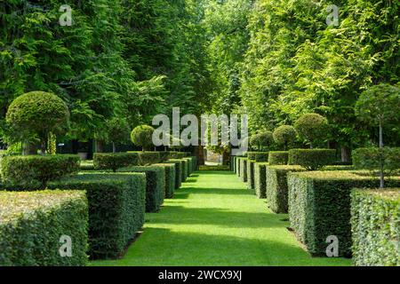 Francia, Dordogna, Perigord Noir, Salignac eyvigues, i giardini del Manoir d'Eyrignac etichettati Jardins Remarquables (giardini notevoli) ricomposti nel XX secolo sulla base di giardini italiani del Rinascimento, giardini A la Francaise del XVIII secolo, giardini medievali con giardini in stile country alla periferia, alberi e boxwoods Foto Stock