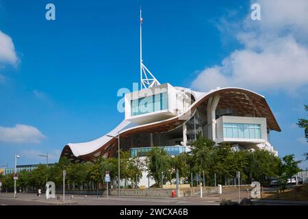 Francia, Mosella, Metz, quartiere dell'anfiteatro, Centro Pompidou Metz (CPM), istituzione pubblica per la cooperazione culturale artistica progettata dagli architetti Shigeru Ban, Jean de Gastines e Philip Gumuchdjian Foto Stock