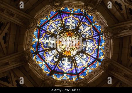 Francia, Meurthe et Moselle, Nancy, chiesa di Saint Leon in stile neogotico costruita tra il 1860 e il 1874 dall'architetto Leon Vautrin, vetrata che rappresenta una colomba con Fleurs de Lys e croci di Lorena intorno, situata in Rue Saint Leon Foto Stock