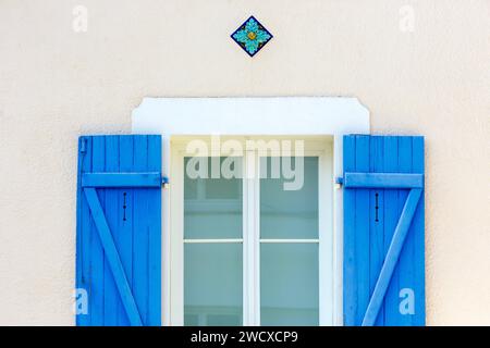 Francia, Meurthe et Moselle, Villers les Nancy, finestra con persiane blu di una casa situata in Rue Georges Clemenceau Foto Stock