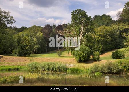 Parco von Muskau (Parco Muzakowski) vicino a Bad Muskau. Patrimonio dell'umanità dell'UNESCO. Germania Foto Stock