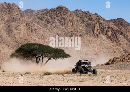 411 DE SOULTRAIT Xavier (fra), COFANO Martin (fra), Sebastien Loeb Racing - Bardahl Team, Polaris RZR Pro R, FIA SSV, azione durante la 10a fase della Dakar 2024 il 17 gennaio 2024 nei pressi di al Ula, Arabia Saudita Foto Stock