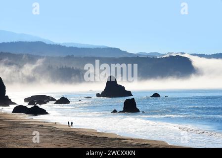 La mattina saluta coppia e cane. La nebbia aggrappata abbraccia la costa ed evapora sotto un cielo blu. La spiaggia si trova lungo l'autostrada 101 vicino a Port Orford, Oregon. Foto Stock