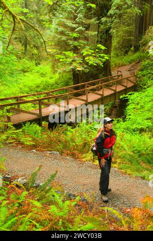 Il sentiero sul ponte di James Irvine Trail, Prairie Creek Redwoods State Park, il Parco Nazionale di Redwood in California Foto Stock