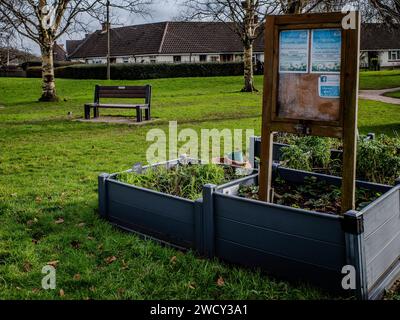 Giardino pubblico comunitario. Lettini da giardino rialzati con piante nell'orto della comunità. Lezioni per bambini. Comunità concettuale, spazio pubblico, anziani. Foto Stock