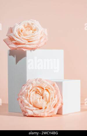 Piattaforme podio o piedistalli bianchi vuoti con sfondo rosa per l'esposizione del prodotto. Vuoto indica l'esposizione o la presentazione dei prodotti Foto Stock