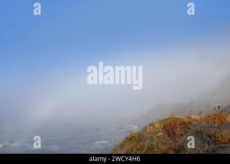 La nebbia pende su Otter Point, sulla costa dell'Oregon. Il cielo blu sbircia fuori da dietro la nebbia. Foto Stock