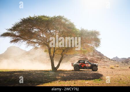 243 BOTTERILL Guy David (zaf), CUMMINGS Brett (zaf), Toyota Gazoo Racing, Toyota GR DKR Hilux, FIA Ultimate, azione durante la fase 10 della Dakar 2024 il 17 gennaio 2024 nei pressi di al Ula, Arabia Saudita Foto Stock