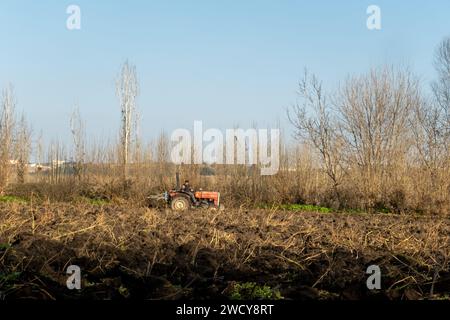 Un trattore che ara l'erba nei giardini Hevsel Hevsel Bahcáeleri . Diyarbakır, Turchia Foto Stock