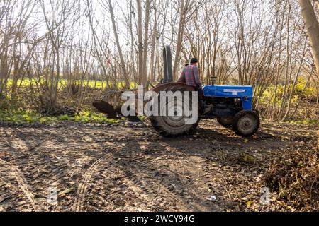 Un trattore che ara l'erba nei giardini Hevsel Hevsel Bahcáeleri . Diyarbakır, Turchia Foto Stock