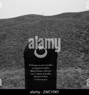 Stele in omaggio ai fucilieri marocchini, tunisini e algerini, Douaumont, Mosa, Grand-Est, Francia Foto Stock