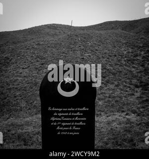 Stele in omaggio ai fucilieri marocchini, tunisini e algerini, Douaumont, Mosa, Grand-Est, Francia Foto Stock