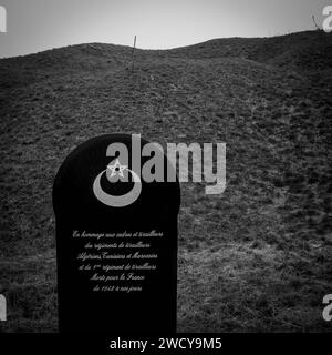 Stele in omaggio ai fucilieri marocchini, tunisini e algerini, Douaumont, Mosa, Grand-Est, Francia Foto Stock