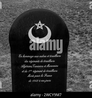 Stele in omaggio ai fucilieri marocchini, tunisini e algerini, Douaumont, Mosa, Grand-Est, Francia Foto Stock