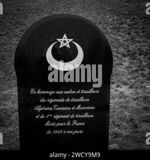 Stele in omaggio ai fucilieri marocchini, tunisini e algerini, Douaumont, Mosa, Grand-Est, Francia Foto Stock