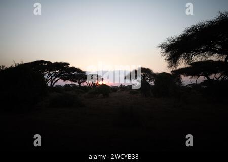 tramonto nella savana africana Foto Stock