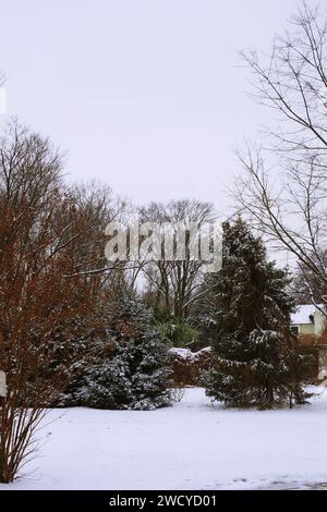 La mattina dopo la nevicata. Foto Stock