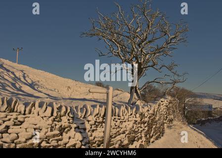 Winter Wonderland innevato su Whitehill Lane, Lothersdale, The Yorkshire Dales, North Yorkshire, Inghilterra, REGNO UNITO Foto Stock