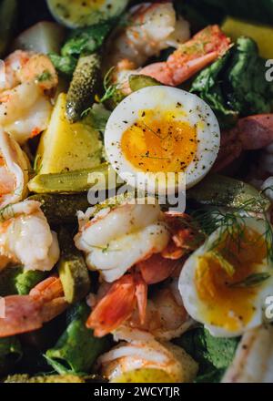 insalata colorata con uova sode, gamberi, sottaceti, lattuga al burro, finocchio Foto Stock