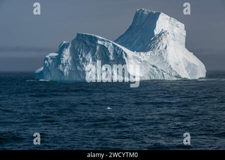 Iceberg nella baia di Elsehul, blocchi grandi e sfumati di blu, sostenuti da montagne innevate, scolpite dalle onde durante il viaggio dall'Antartide Foto Stock