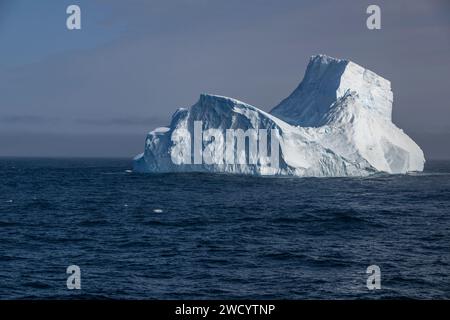 Iceberg nella baia di Elsehul, blocchi grandi e sfumati di blu, sostenuti da montagne innevate, scolpite dalle onde durante il viaggio dall'Antartide Foto Stock