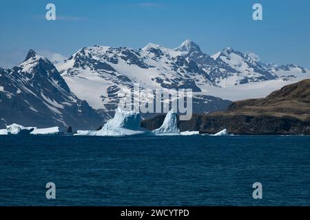 Iceberg nella baia di Elsehul, blocchi grandi e sfumati di blu, sostenuti da montagne innevate, scolpite dalle onde durante il viaggio dall'Antartide Foto Stock