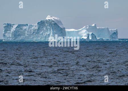 Iceberg a St. Andrews Bay, varie forme, grandi blocchi, scolpiti dalle onde durante il viaggio dall'Antartide, numerosi a causa della rottura della piattaforma di ghiaccio Foto Stock