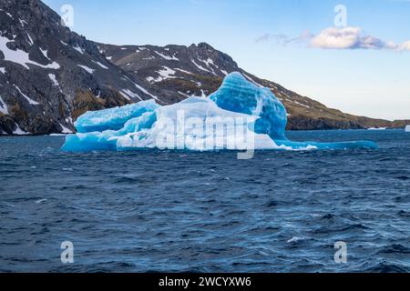 Iceberg nella baia di Cooper e nel fiordo di Drygalski, nell'isola della Georgia del Sud, numerosi a causa della rottura della piattaforma di ghiaccio antartica, scolpita dalle onde durante il viaggio Foto Stock