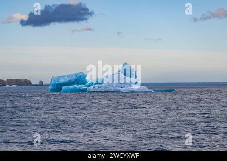 Iceberg nella baia di Cooper e nel fiordo di Drygalski, nell'isola della Georgia del Sud, numerosi a causa della rottura della piattaforma di ghiaccio antartica, scolpita dalle onde durante il viaggio Foto Stock